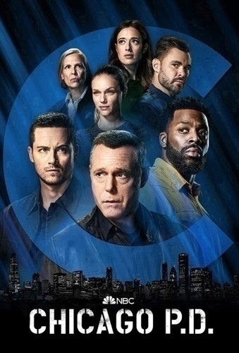 Полиция Чикаго 10 сезон 13 серия [Смотреть Онлайн]