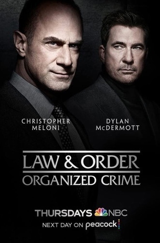Закон и порядок: Организованная преступность 3 сезон 17 серия [Смотреть Онлайн]